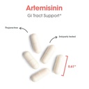 arg-artemisinin-delivers-200-mg-concentr-6.jpg