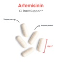 arg-artemisinin-delivers-200-mg-concentr-5.jpg