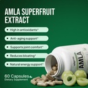 alevia-organic-amla-capsules-1000mg-indi-2.jpg