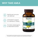 himalaya-organic-amla-herbal-immune-supp-3.jpg