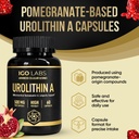 urolithin-a-capsules-500mg-1000mg-per-se-6.jpg
