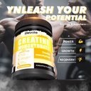 elevatelife-nsf-certified-creatine-monoh-6.jpg