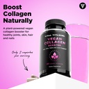 vital-vitamins-vegan-collagen-booster-60-2.jpg