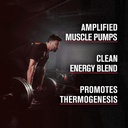 jacked-factory-nitrosurge-shred-pre-work-2.jpg