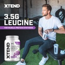 xtend-original-bcaa-powder-7g-bcaas-and--4.jpg