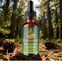 pine-pollen-tincture-pine-pollen-powder--3.jpg