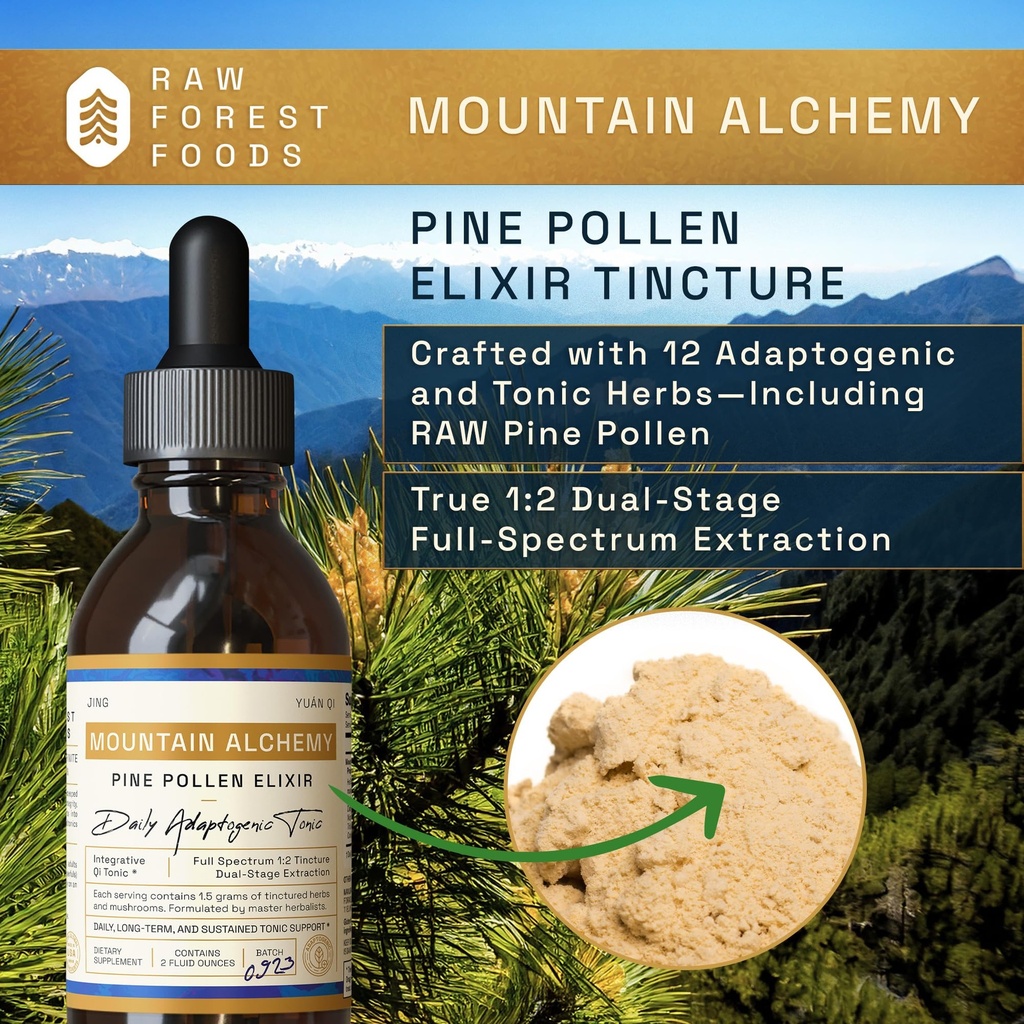 raw-forest-foods-mountain-alchemy-pine-p-4.jpg
