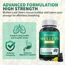 2-packs-3000mg-organic-mullein-gummies-f-4.jpg
