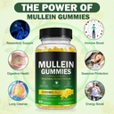 mullein-gummies-for-lung-detox-2000mg-mu-2.jpg