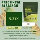 nad-resveratrol-gummies-liposomal-nad-gu-5.jpg