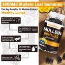 1-pack-sugar-free-mullein-gummies-lung-c-3.jpg