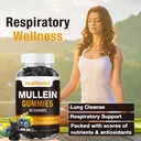 1-pack-sugar-free-mullein-gummies-lung-c-4.jpg