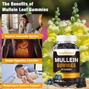 1-pack-sugar-free-mullein-gummies-lung-c-5.jpg