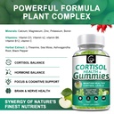 gornvb-cortisol-gummies-cortisol-supplem-3.jpg