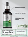 horb-ach-green-tea-extract-liquid-drops--4.jpg