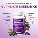 elvera-elderberry-3-in-1-gut-support-com-2.jpg