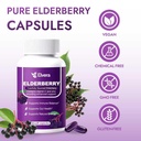 elvera-elderberry-3-in-1-gut-support-com-5.jpg