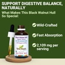 wild-black-walnut-hull-tincture-organic--2.jpg