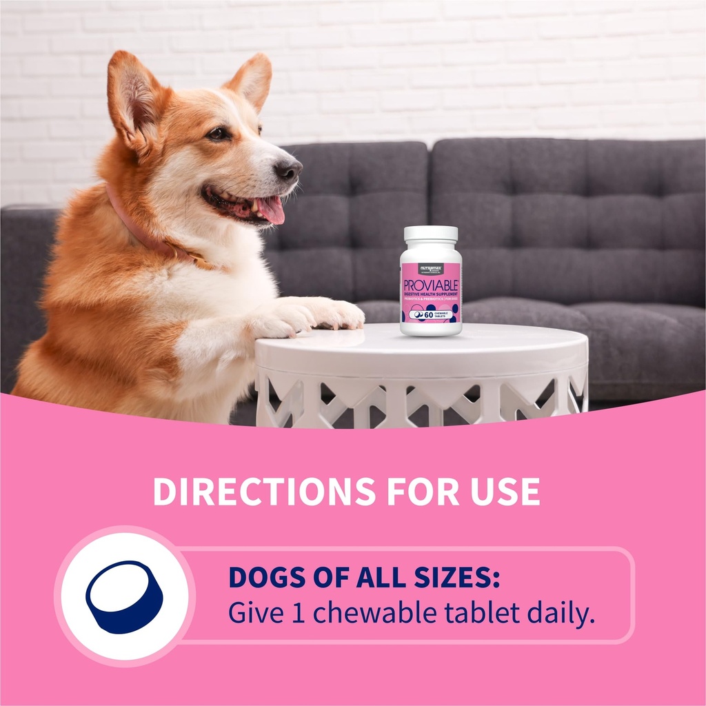 nutramax-proviable-probiotics-for-dogs-d-6.jpg