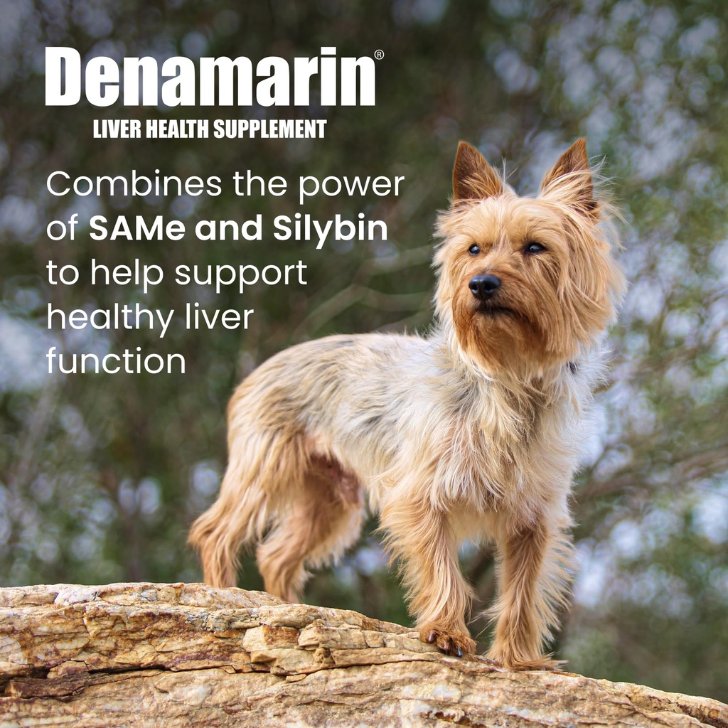 nutramax-denamarin-for-small-dogs-and-ca-2.jpg