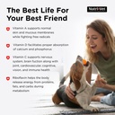 nutri-vet-multi-vite-chewables-for-adult-5.jpg
