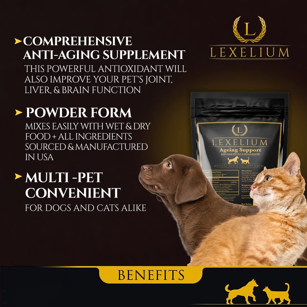 antioxidant-for-senior-dogs-and-cats-pro-2.jpg