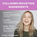 vital-vitamins-vegan-collagen-booster-wo-5.jpg