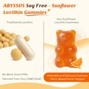 abyssus-sunflower-lecithin-gummies-1200m-2.jpg