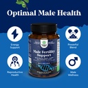 bundle-of-pre-conception-male-fertility--4.jpg