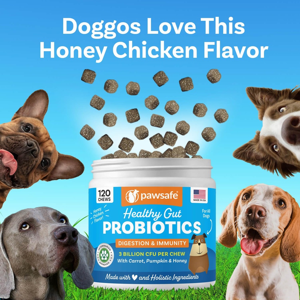 pawsafe-dog-probiotics-soft-chews-for-pi-5.jpg