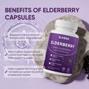 elvera-elderberry-elvera-gut-support-com-4.jpg