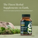 gaia-herbs-gut-revival-herbal-supplement-2.jpg
