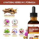 yellow-dock-root-organic-drops-for-liver-4.jpg