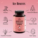 pure-himalayan-shilajit-gummies-sugar-fr-3.jpg