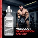 mmusa-xxtraa-stable-creatine-serum-for-b-5.jpg