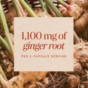 nature-s-way-ginger-root-capsules-1100-m-4.jpg