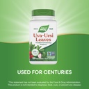 nature-s-way-uva-ursi-leaves-traditional-4.jpg