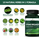 stone-breaker-chanca-piedra-capsules-for-4.jpg