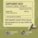 herbamama-mastic-gum-and-turmeric-kit-bu-4.jpg