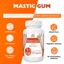 mastic-gum-capsules-natural-gastrointest-4.jpg