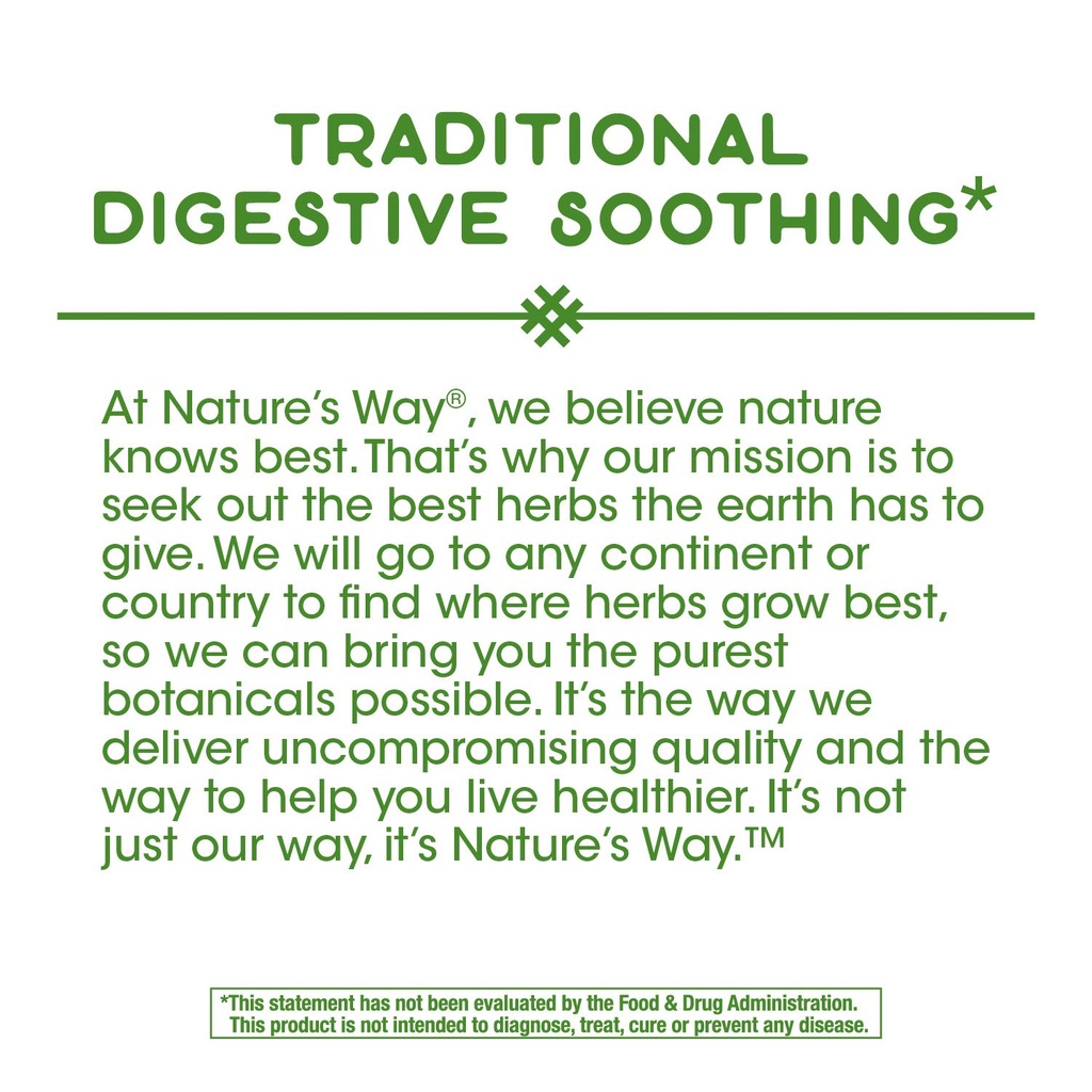 nature-s-way-peppermint-leaf-traditional-4.jpg
