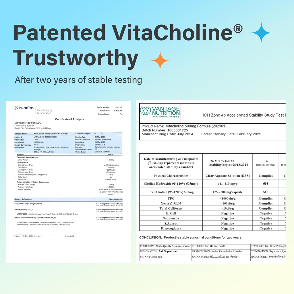 choline-supplements-500mg-brain-health-c-3.jpg