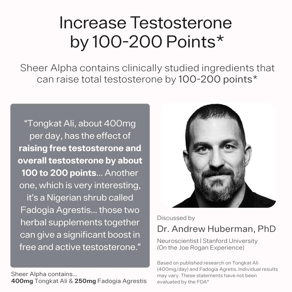 testosterone-booster-for-men-sheer-alpha-4.jpg
