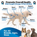 omega-3-fish-oil-for-dogs-better-than-sa-2.jpg