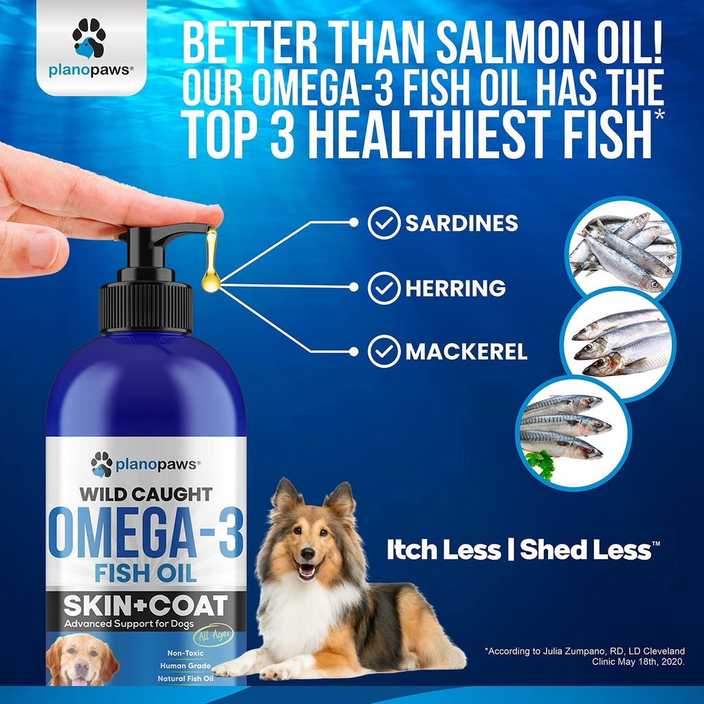 omega-3-fish-oil-for-dogs-better-than-sa-4.jpg