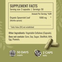 herbamama-spearmint-capsules-1000-mg-spe-3.jpg