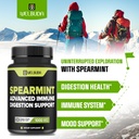 welbuda-210-capsules-spearmint-supplemen-3.jpg