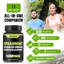 welbuda-210-capsules-spearmint-supplemen-6.jpg