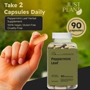 organic-peppermint-leaf-capsules-750mg-9-4.jpg