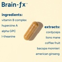 brain-fxTM-b-vitamins-herbs-for-memory-a-2.jpg